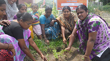 Photos Vimuktha Federation 